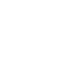 Partner organization 4